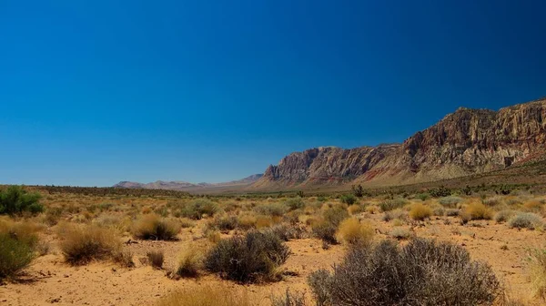 ブッシュ 山と青空と砂漠の美しい景色 — ストック写真