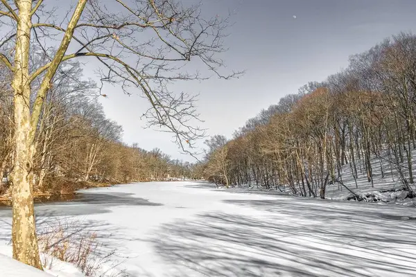 冬の森の木々に囲まれた凍った川 — ストック写真