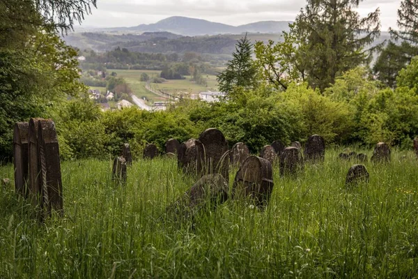 Velho Cemitério Judeu Coberto Com Grama Pedras Tumulares Tortas Ruínas — Fotografia de Stock
