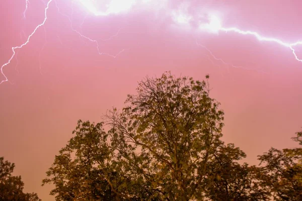 Beautiful View Dangerous Lightning Tree — Stock Photo, Image