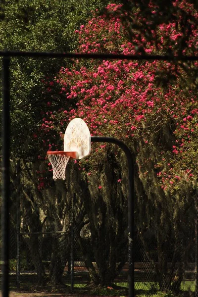 Ein Basketballkorb Forsyth Park Savannah Georgia Usa — Stockfoto