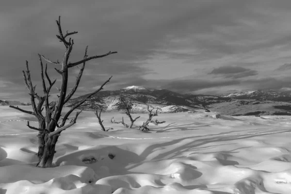 Zimowe Zdjęcie Yellowstone Mammoth Hot Spring — Zdjęcie stockowe