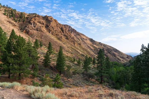 Skaliste Wzgórze Zieloną Roślinnością Ścieżka Huntera Creeka Reno Nevada Usa — Zdjęcie stockowe