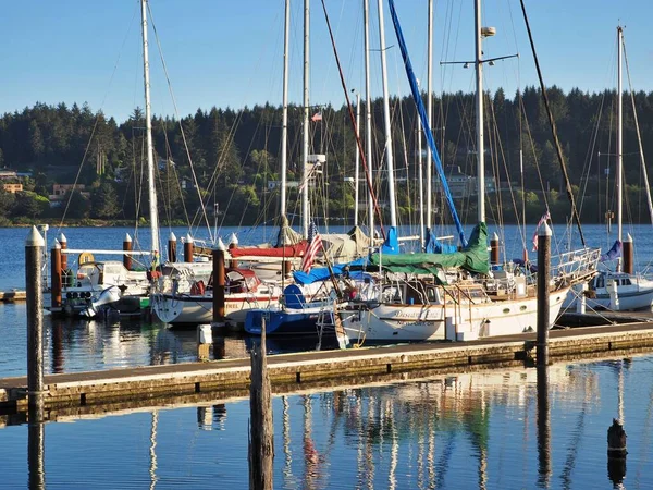 Viele Segelboote Hafen Von Florenz Oregon Pazifikküste Siuslaw River Mit — Stockfoto