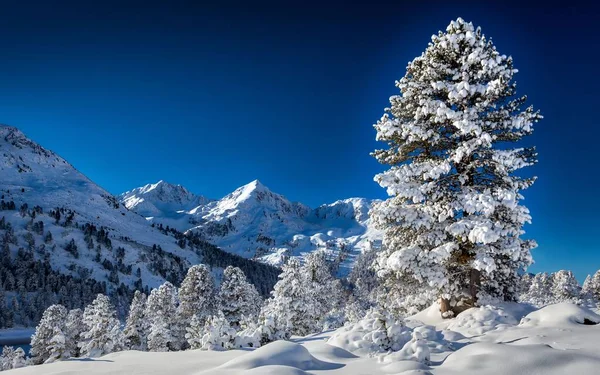 Paisaje Montañas Del Tirol Cubiertas Bosques Nieve Bajo Luz Del —  Fotos de Stock