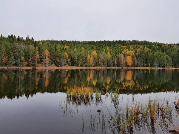 Naturskön Utsikt Över Lugn Sjö Med Reflektion Över Höstskogen Vattenytan — Stockfoto