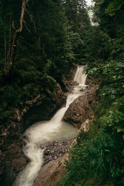 Small Waterfall Mountainous River Wild Forest Vorarlberg Austria Vertical — Stock Photo, Image