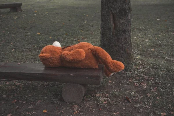 Ένα Αρκουδάκι Ξαπλωμένο Ένα Ξύλινο Παγκάκι Στον Κήπο — Φωτογραφία Αρχείου