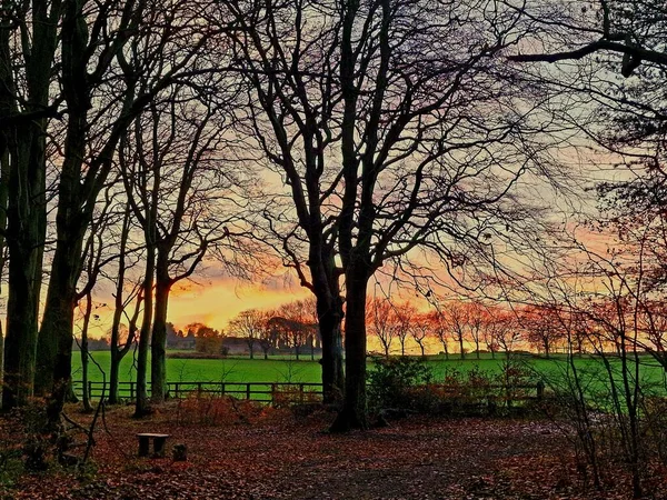 Захватывающий Красочный Вид Закат Над Сельской Местностью Голыми Деревьями — стоковое фото