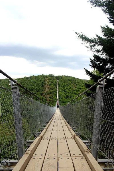 Tiro Vertical Uma Ponte Madeira Floresta Verde — Fotografia de Stock