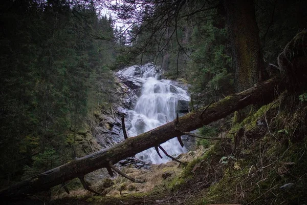 Een Waterval Stroomt Van Een Heuvel Het Bos Met Omgevallen — Stockfoto