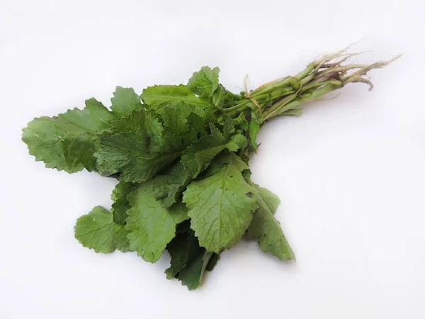 葉野菜 大根の葉 Raphanus Sativus 頂部は葉物野菜として用いられる — ストック写真