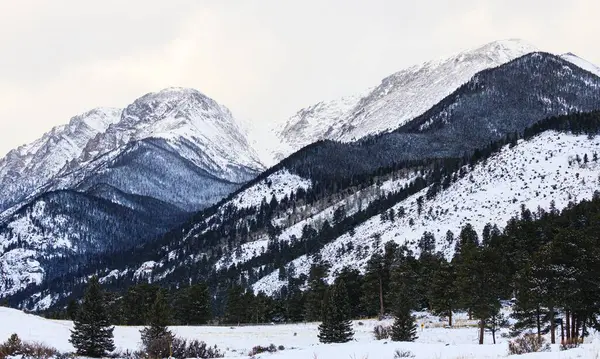 Widok Krajobrazu Pokrytego Śniegiem Lasu Parku Narodowym Gór Skalistych — Zdjęcie stockowe
