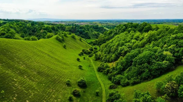 Eine Wunderschöne Landschaft Der Zagajicks Hügel Sommer — Stockfoto