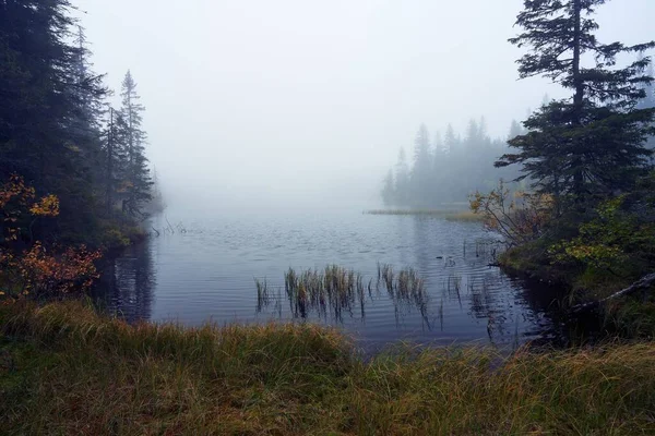 Uma Bela Paisagem Floresta Svartdalstjerna Outono Com Uma Névoa Lago — Fotografia de Stock
