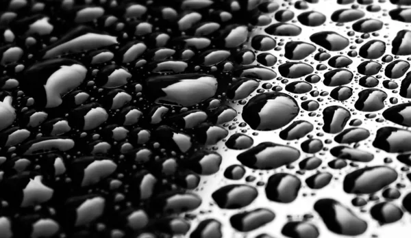 Szara Skala Zbliżenie Błyszczące Krople Wody Odblaskowej Czarno Białej Powierzchni — Zdjęcie stockowe