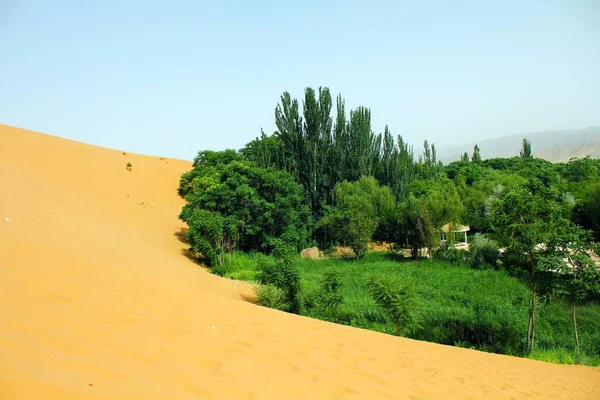 stock image A natural landscape of a desert