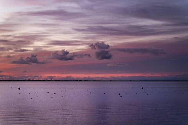 Gün Batımında Martılarla Güzel Bir Deniz Manzarası Büyüleyici — Stok fotoğraf