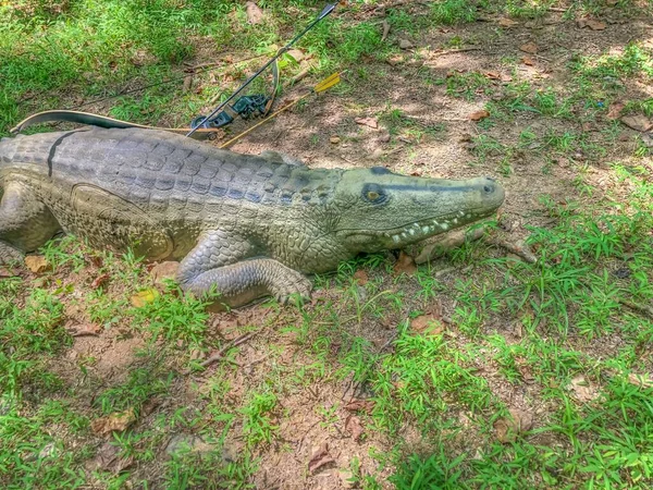 Ein Künstliches Krokodil Auf Dem Boden — Stockfoto