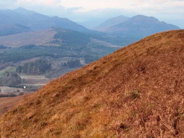 Eine Drohnenaufnahme Eines Schönen Waldes Der Nähe Der Berge Schottland — Stockfoto