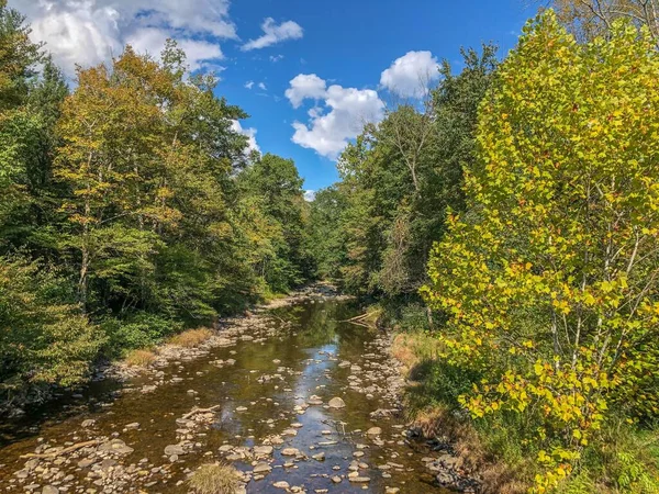 曇り空の下 紅葉の木々の間を流れる穏やかな川の水 — ストック写真