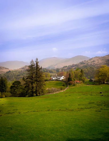 Ein Landschaftsbild Der Tannenwälder Auf Dem Feld Mit Hügeln Hintergrund — Stockfoto