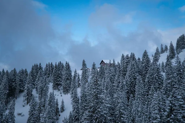 Góra Pokryta Wysokimi Jodłami Budynkiem Tle Zimie — Zdjęcie stockowe