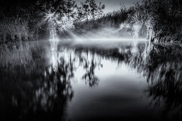 나무들 에둘러 안개가 연못을 가로지르는 태양의 흔적을 단색으로 — 스톡 사진