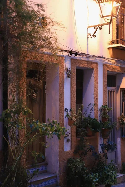 Entrada Antigua Casa Con Una Puerta Madera Rodeada Plantas Maceta —  Fotos de Stock