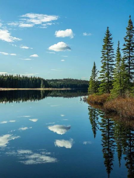 Vertikální Záběr Jezera Obklopeného Stromy Lese Quebec Kanadě — Stock fotografie