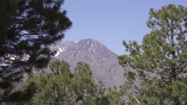 Toubkal manzarası güneş ışığı altında yeşilliklerle çevrili ve Fas 'ta mavi bir gökyüzü