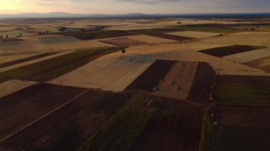 İspanya 'da günbatımında kırsal ayçiçeği tarlalarının havadan görünüşü