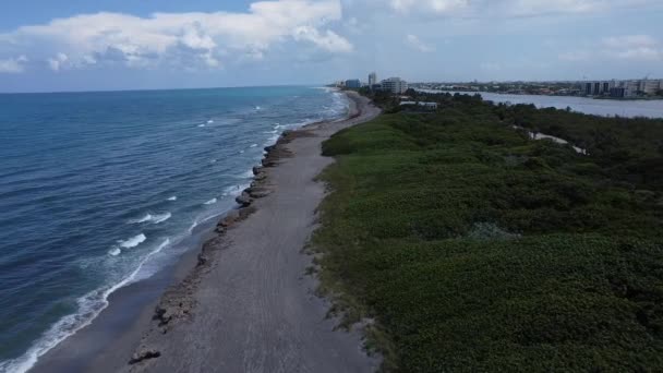 Μια Εναέρια Άποψη Των Κυμάτων Της Θάλασσας Σπάζοντας Πράσινο Παραλία — Αρχείο Βίντεο