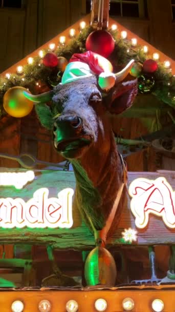 Pionowe Ujęcie Elektrycznej Krowy Wyglądającej Chaty Śpiewającej Jarmarku Bożonarodzeniowym Paderborn — Wideo stockowe