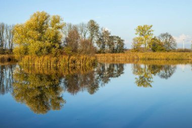 Gündüz vakti güzel sonbahar ağaçlarıyla çevrili sakin bir göl manzarası.