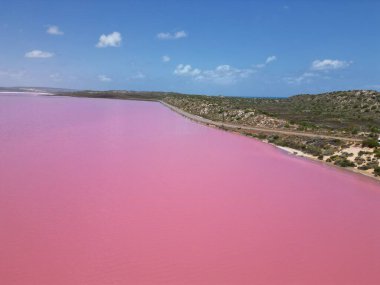Pembe Göl 'ün güzel manzarası. Hillier Gölü, Batı Avustralya.