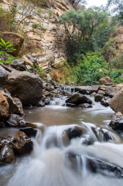 Yeşil ormandaki bir nehre uzun süre maruz kalmak.