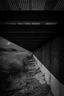 Köprünün altındaki çimlerin dikey gri tonda görüntüsü..