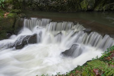 Güzel şelale uzun pozlama modunda ve yere farklı renklerde yapraklar dökülüyor. İspanya, Cantabria 'da yer almaktadır.
