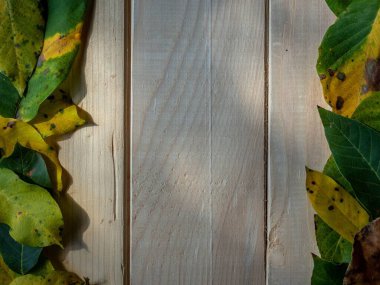 Renkli sonbahar yaprakları kopya alanı ile ahşap arkaplanda çerçeve olarak düzenlenmiştir