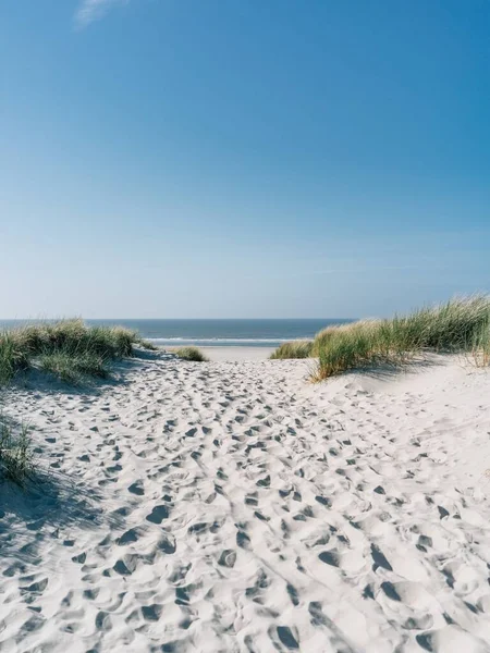 Juist Almanya Güzel Bir Plajın Dikey Çekimi — Stok fotoğraf