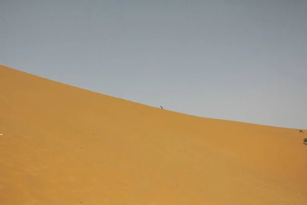 Αεροφωτογραφία Της Ερήμου — Φωτογραφία Αρχείου