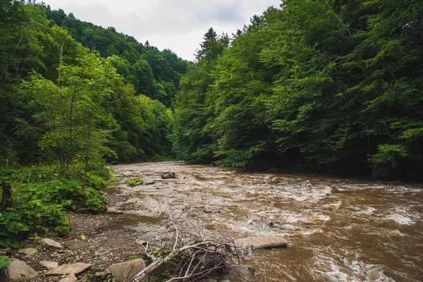 Uma Vista Panorâmica Rio Que Flui Através Uma Floresta Verde — Fotografia de Stock