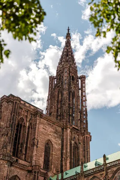 Plano Vertical Hermosa Arquitectura Exterior Catedral Estrasburgo — Foto de Stock