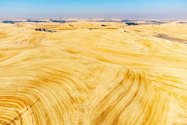 Luchtfoto Van Een Geoogst Tarweveld Met Een Glooiend Heuveloppervlak — Stockfoto