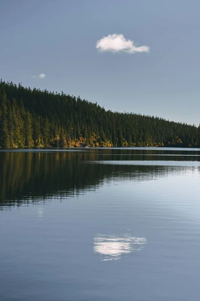 Tiro Vertical Lago Svartdal Stjerna Árvores Floresta Fundo Durante Outono — Fotografia de Stock