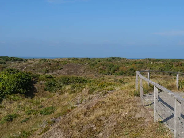 Primer Plano Hierba Que Crece Las Dunas Arena Bajo Cielo —  Fotos de Stock