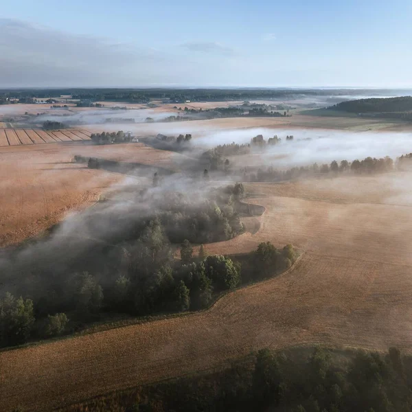 Sisli Bir Günde Köknar Ormanları Buğday Tarlaları Olan Büyük Manzaralar — Stok fotoğraf
