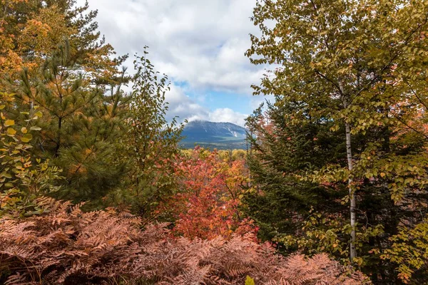 Scenic View Field Baxter Peak Background Maine United States — Stock Photo, Image