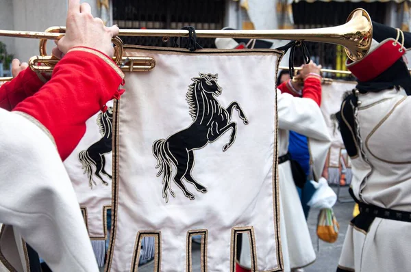 Nahaufnahme Eines Pferdes Auf Einem Bügel Der Garde Von Arezzo — Stockfoto